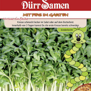Kindersorte Kresse einfache