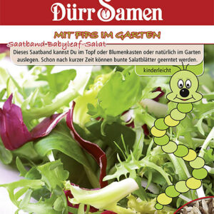 Kindersorte Saatband Babyleaf-Salat