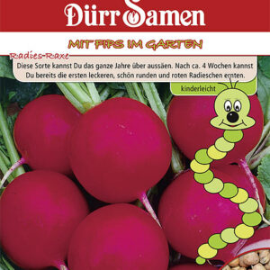 Kindersorte Radies Raxe