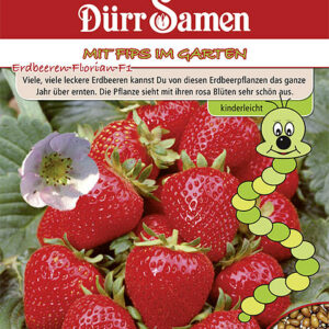 Kindersorte Erdbeeren Florian F1