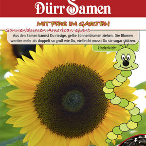 Kindersorte Sonnenblumen American Giant