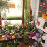 Gärtnerei Masetti - Laden in Riedlingen